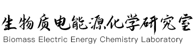 生物质电能源化学研究室