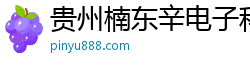 贵州楠东辛电子科技有限公司