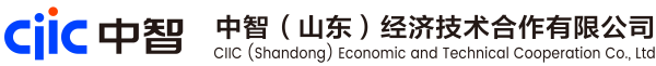中智（山东）经济技术合作有限公司
