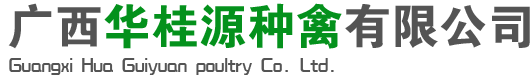 广西快大黄鸡苗批发