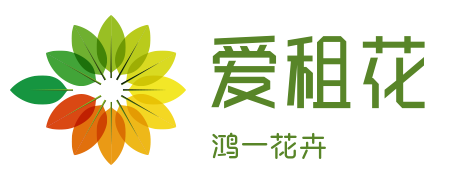 爱租花