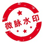 微脉水印相机官网下载