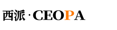 安徽西派仪表有限公司