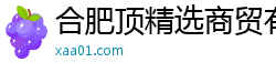 合肥顶精选商贸有限公司