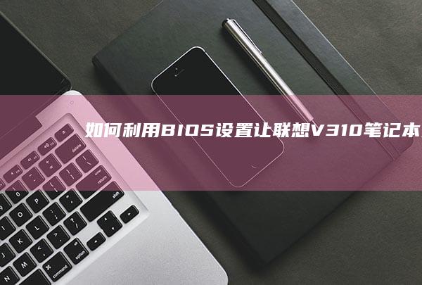 如何利用BIOS设置让联想V310笔记本从U盘启动：全面教程 (如何利用饼图显示两类数据和占比)