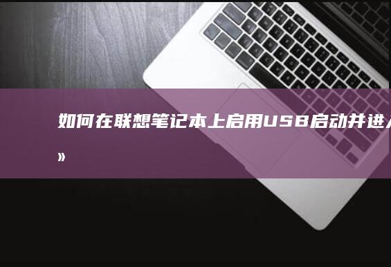 如何在联想笔记本上启用USB启动并进入系统 (如何在联想笔记本上下载软件)