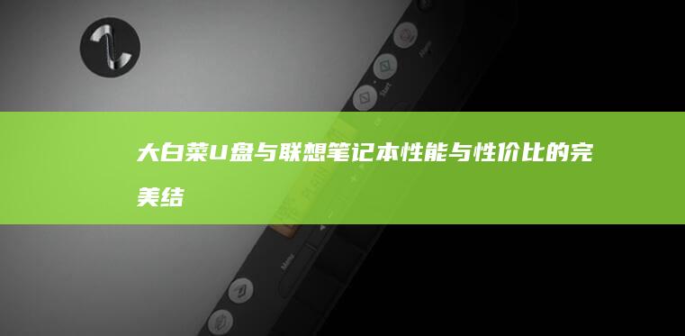 大白菜U盘与联想笔记本：性能与性价比的完美结合 (大白菜u盘和普通u盘的区别)