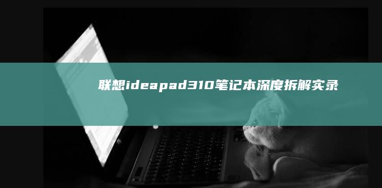 联想ideapad 310笔记本深度拆解实录：从外壳拆卸到内部组件解析 (联想ideapad)