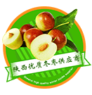 陕西优质冬枣供应商欢迎您