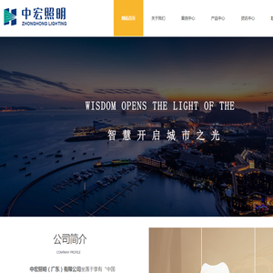 中宏照明