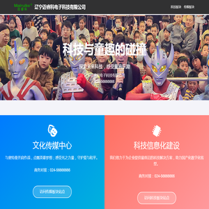 辽宁迈睿科电子科技有限公司