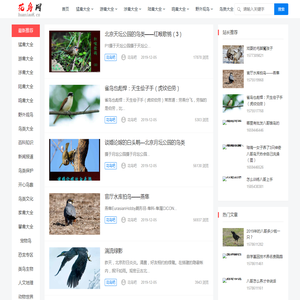 花鸟吧专注鸟类爱护