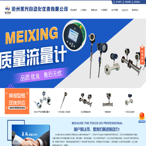 气体质量流量计