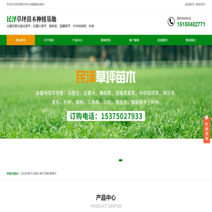 马尼拉草坪