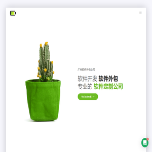 广州软件外包公司
