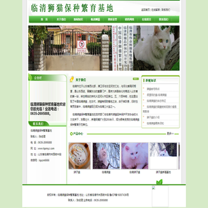 狮猫,临清狮子猫,山东狮猫