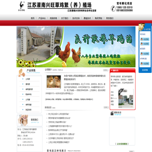江苏乡月专业草鸡苗孵化厂