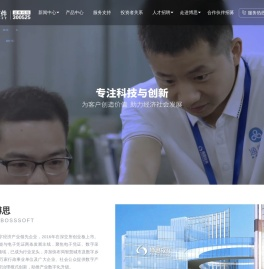 博思软件