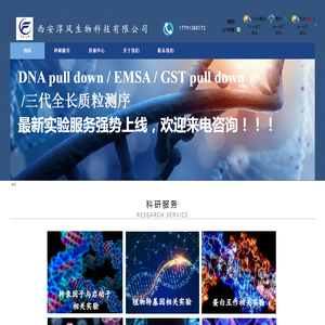 西安淳风生物科技有限公司