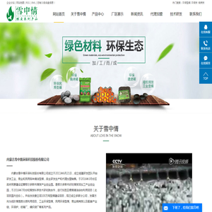 环保型煤