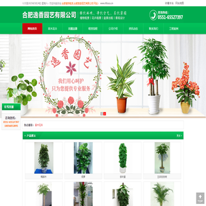 合肥花卉租摆