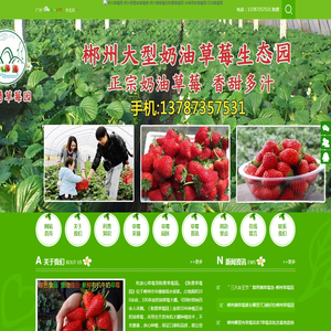 郴州草莓园