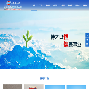 广东恒健制药有限公司