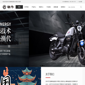 品牌电摩