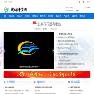 跳动科技网