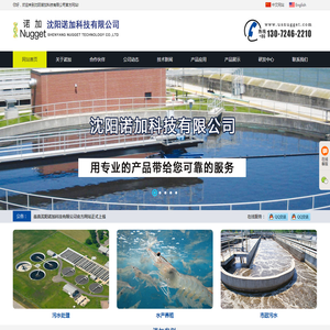 Nugget(shenyang)Technology
