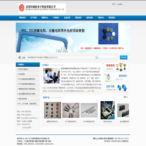东莞市福佑电子科技有限公司