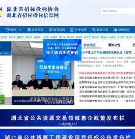 湖北省招投标一体化平台