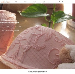 AZBra.com.cn